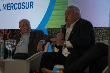 Marcelo Regúnaga, exsecretario de Agricultura, y Enori Barbieri, de Abramilho, en el Congreso de Maizar
