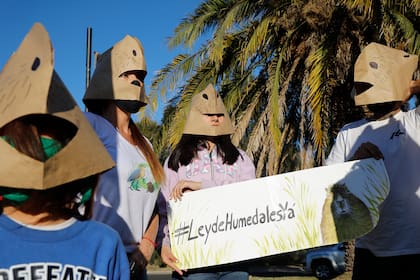 Marcha de ambientalistas, ayer, a favor de la biodiversidad en Nordelta