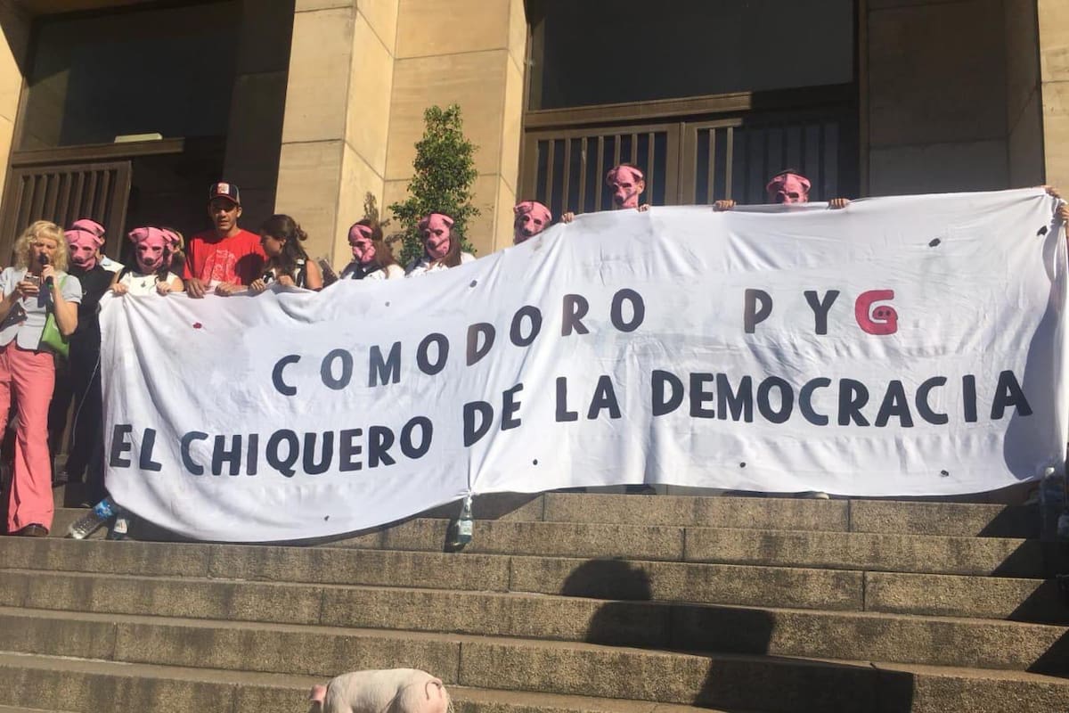 Marcha en tribunales