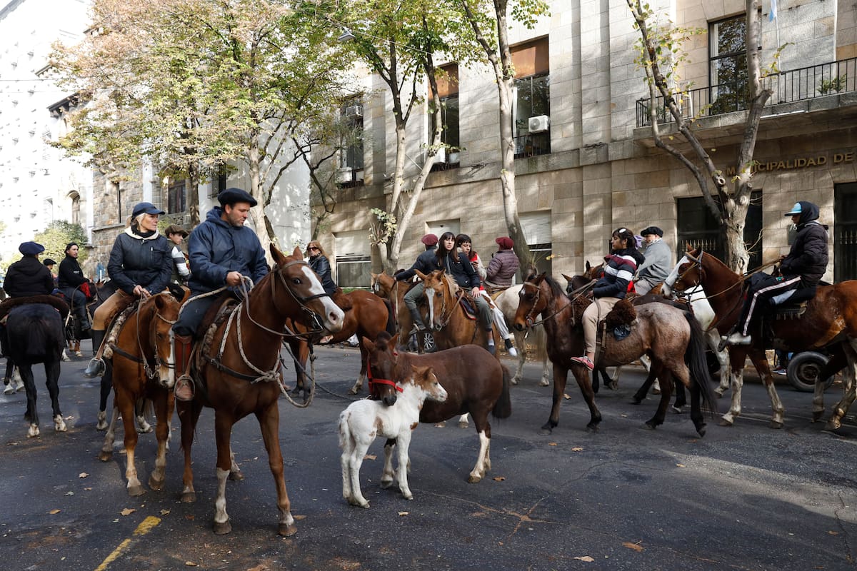 Marcha y protesta a caballo por el robo y asesinato de más de 117 caballos en la ciudad.