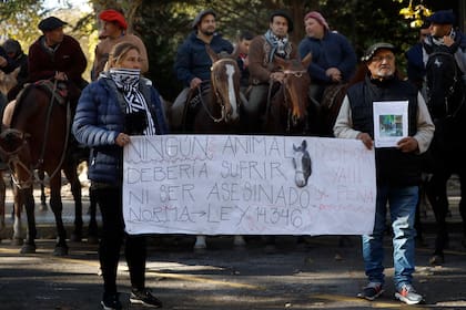 Marcha y protesta a caballo porel robo y asesinato de mas de 117 caballos en la ciudad.