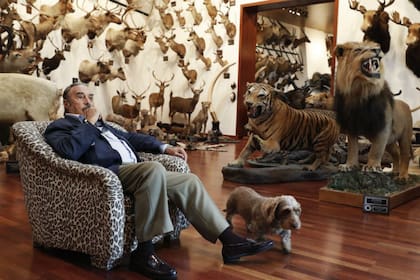 Marcial Gómez Sequeira es un millonario español que se jacta de su colección formada por sus presas en 48 años de caza mayor