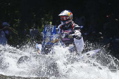 Marcos Patronelli