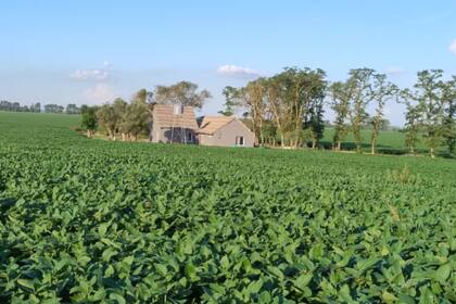 Marcos Hermansson: "La cadena comercial ha construido, mantenido y consolidado desde el inicio mismo de nuestra organización como Nación"