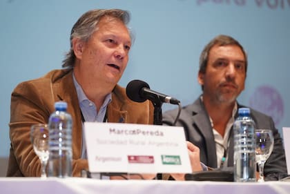 Marcos Pereda, vicepresidente de la Sociedad Rural Argentina