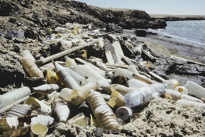 Mares y océanos contaminados. Un panorama preocupante.