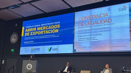 Margarita Carratu, presidenta de Crisol Proyectos Sociales