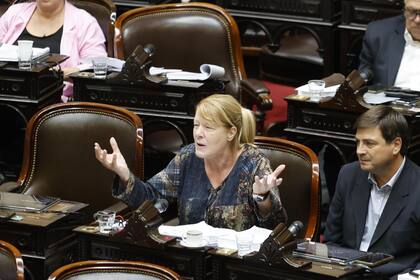 Margarita Stolbizer se cruzó con un diputado libertario durante el debate por la ley ómnibus