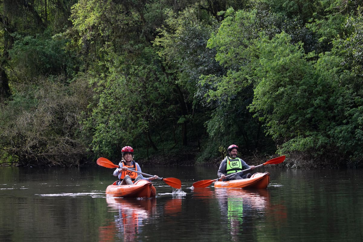 Margay es un área protegida de 65 hectáreas en Misiones