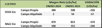Márgenes de enero de 2024 versus igual mes del año pasado