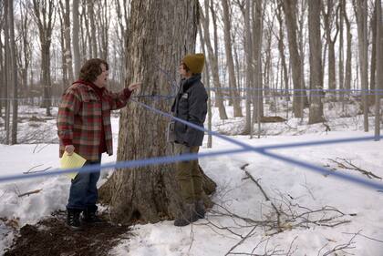 Margo Martindale interpreta a una productora de miel de maple en The Sticky de Prime Video