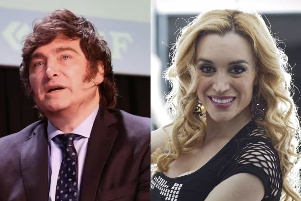 María Belén Ludueña le asignó un significado esotérico al misterioso "540" que Javier Milei mencionó en su discurso de las PASO y se volvió viral