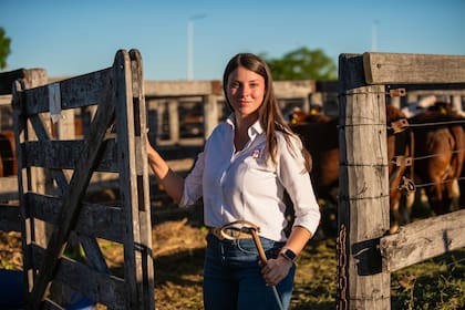 María Belén Mastandrea, extensionista de la Asociación Braford Argentina, revisa la condición de los reproductores antes de cada remate oficial