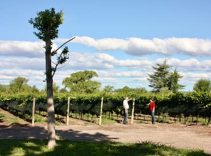 María comparte las tareas en la finca con su padre, Angel Morchio