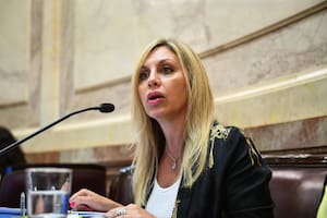María de los Ángeles Sacnun se refirió a la empresa Vicentín con dos particulares metáforas