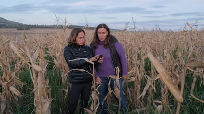 Maria Di Napoli y Maria Laura Roberto