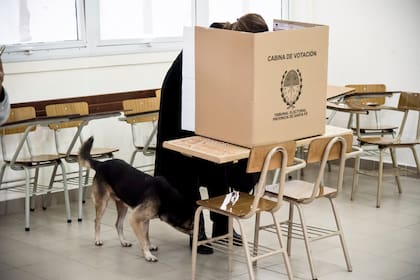 María E. Bielsa, durante la votación