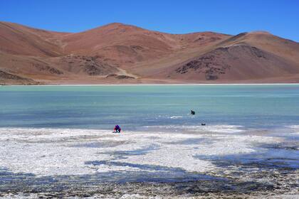 María Eugenia Farías y su equipo investigan en Laguna Grande, Catamarca, en aguas más saladas que las de los océanos y con altos niveles de arsénico