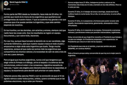 María Eugenia Vidal anunció su apoyo a Horacio Rodríguez Larreta para las elecciones PASO (Captura Twitter)