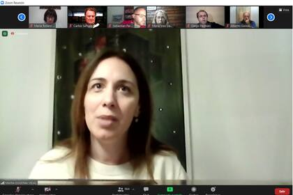 María Eugenia Vidal participó el miércoles en un Zoom con vecinos de San Isidro