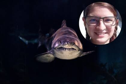 María Fernanda Martínez logró poner a salvo a su hijo de 5 años, pero fue atacada por un tiburón y murió