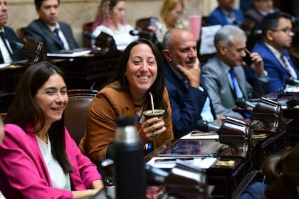 María Sotolano, diputada nacional aliada a Jorge Macri, toma mate en el recinto