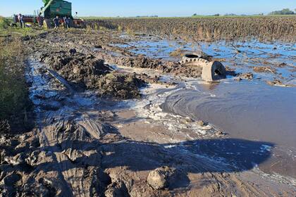 María Susana Azzi: “Los caminos están con muchísima agua y algunos campos también, porque las napas han subido mucho. Igual se puede cosechar. Lo que no podemos es sacar la producción"