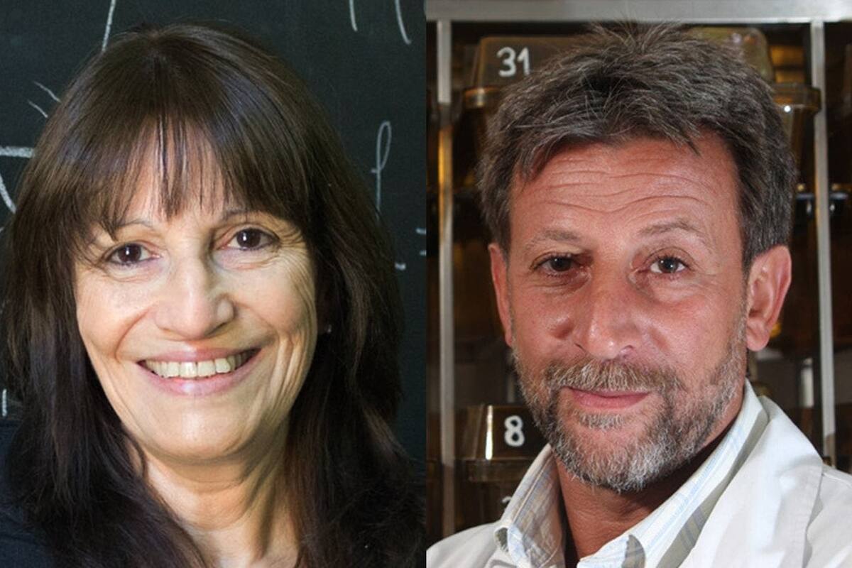 María Teresa Dova y Hugo Luján, científicos argentinos distinguidos por la Academia Mundial de Ciencias