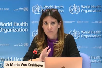 María Van Kerkhove, líder técnica frente al coronavirus de la OMS