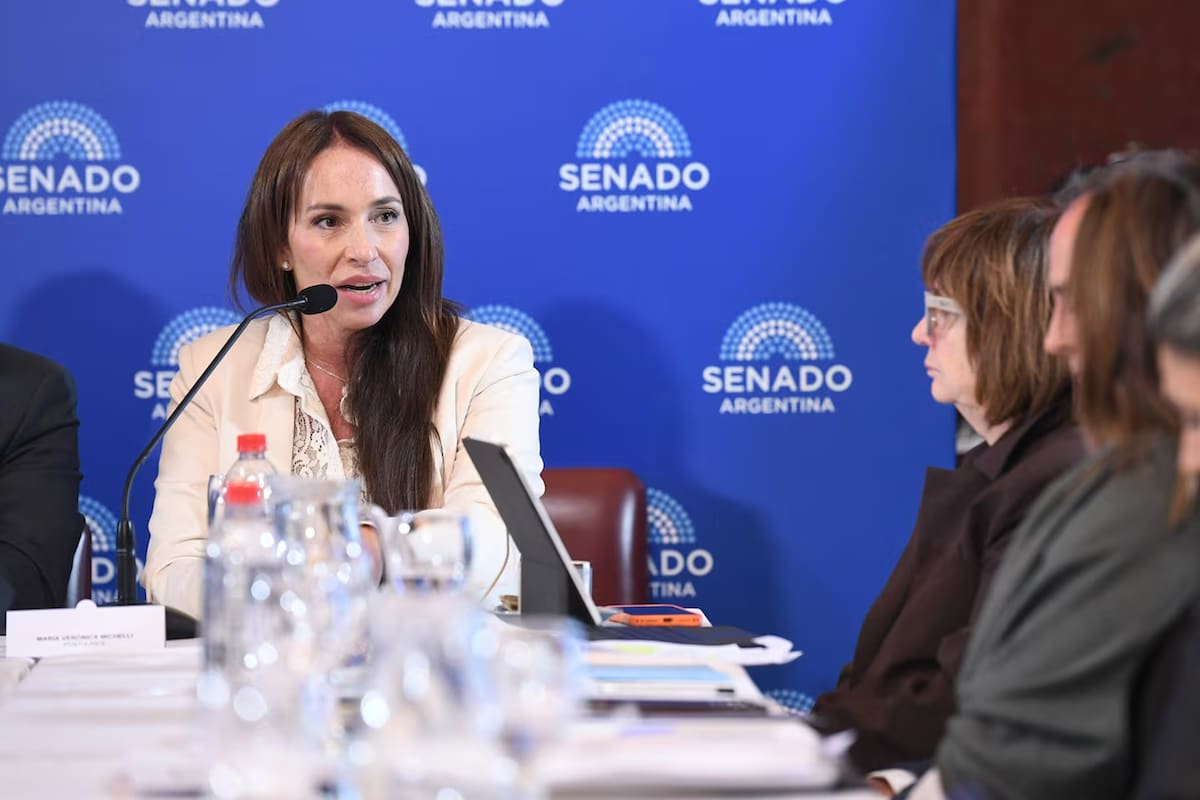 María Verónica Michelli