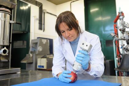 Gabriela De Noya, licenciada en Ciencia y Tecnología de Alimentos, trabaja en el Instituto Tecnología en Alimentos del INTA