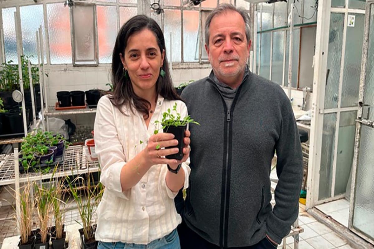 Mariana Obertello y Jorge Muschietti, Investigadores del Conicet y de la FCEN-UBA, integraron el equipo de investigación que realizó el avance