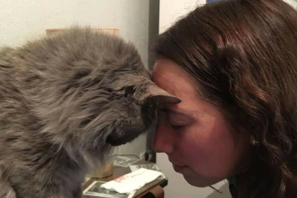 Mariana y Talita, un amor inesperado