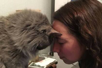 Mariana y Talita, un amor inesperado