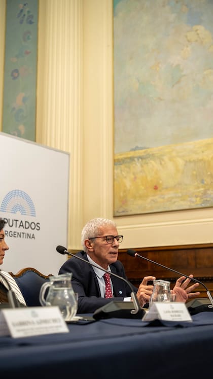 Mariano Cúneo Libarona, en el acto de homenaje a las víctimas del atentado contra la AMIA
