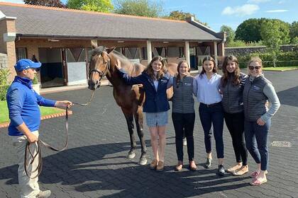 Marie Rohaut (Francia), Julie Witt (EE.UU.), Caitlin Smith (Australia), Vicky y Niamh O’Brien (Irlanda), con el padrillo Teofilo, en Kildangan