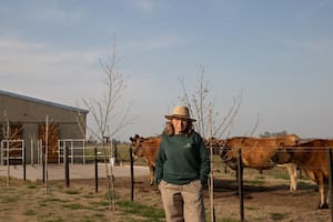 El amor por el campo pudo más y lograron el sueño de tener un tambo donde reciben visitantes