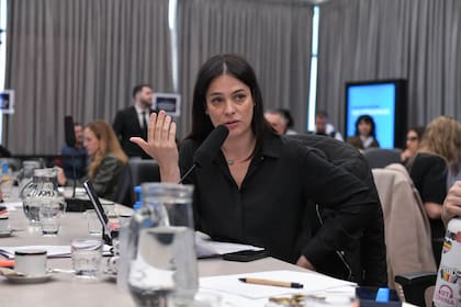 Mariela Coletta, la diputada radical aliada a Emiliano Yacobitti