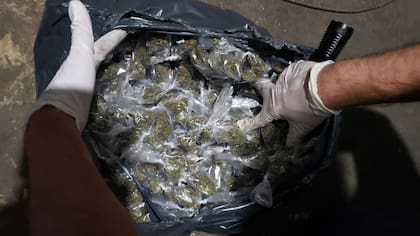 Marihuana incautada a la banda de Los Marolas