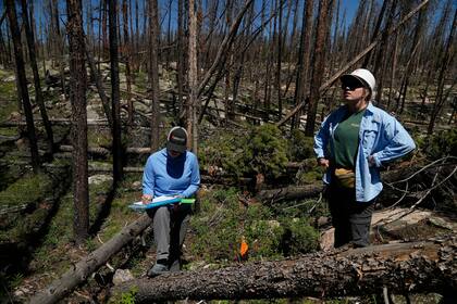 Marin Chambers (i) toma nota mientras Maddie Wilson ofrece observaciones en Bellvue, Colorado, el 11 de junio del 2024. (Foto AP /Brittany Peterson)