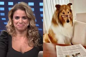 Marina Calabró cruzó a Alberto Fernández por el posteo publicado en la cuenta de su perro Dylan