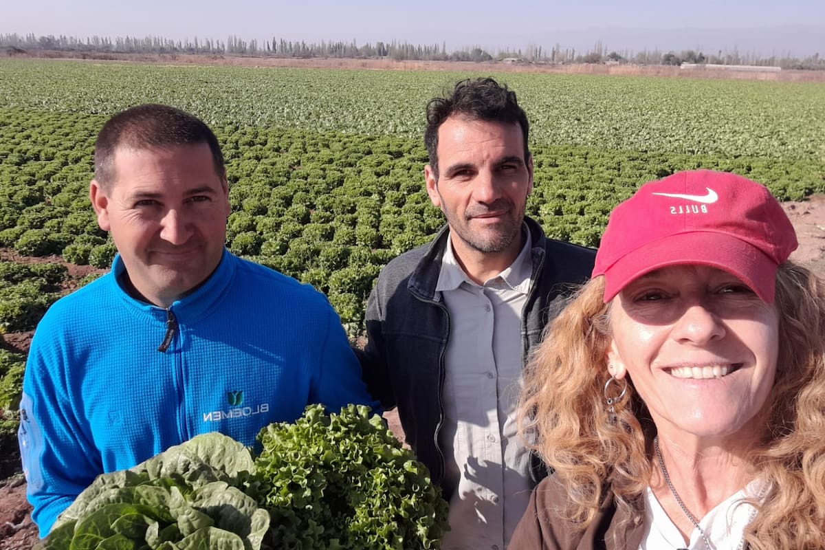 Marina Lambertini asesora a un grupo de productores hortícolas a lo largo y ancho del país
