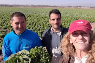 La ingeniera agrónoma detrás de un trabajo poco conocido y que es clave para uno de los principales alimentos