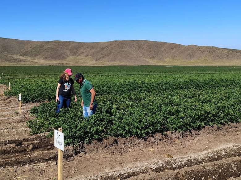 De un sueño adolescente a liderar 1.000 hectáreas hortícolas