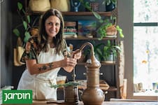 El camino artesanal que convierte flores medicinales en cremas y ungüentos