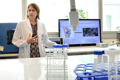Marina Simian, del Instituto de Nanosistemas de la UnSam