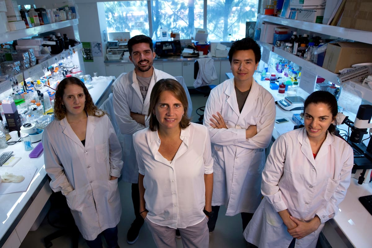 Marina Simian directora del laboratorio de Nanobiología e investigadora independiente del Conicet, junto a Tomas Laporte, Inés Díaz Bessone, Amparo Lago y Max Tanaka, integrantes del grupo de investigación