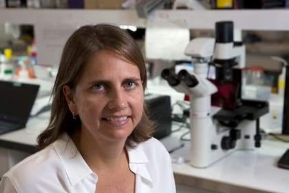 Marina Simian directora del laboratorio de Nanobiología e investigadora independiente del Conicet
