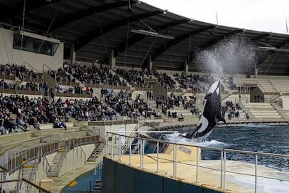 Un espectáculo en Marine Antibes poco antes de su cierre.