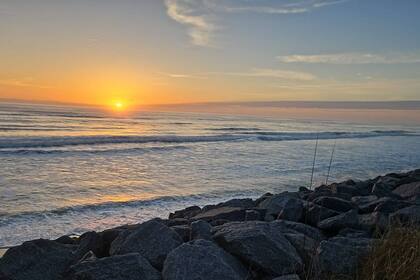 Marineland, en el condado de St John ofrece una experiencia única a sus visitantes